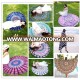 Minzart BB0091 Hot Sale Round Sexy Beach Cheap Wholesale beach Towels Gypsy Beach Towel